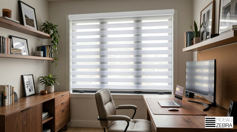 Cordless Premium Zebra Blinds for Office Windows - Dove White